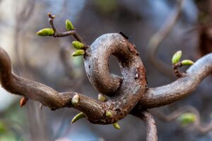 髪の毛が細くなった原因と対策は？