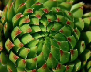 抜け毛が多い時の効果的な対処法は？