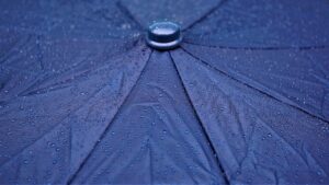 抜け毛が多い時の対処法は何ですか？