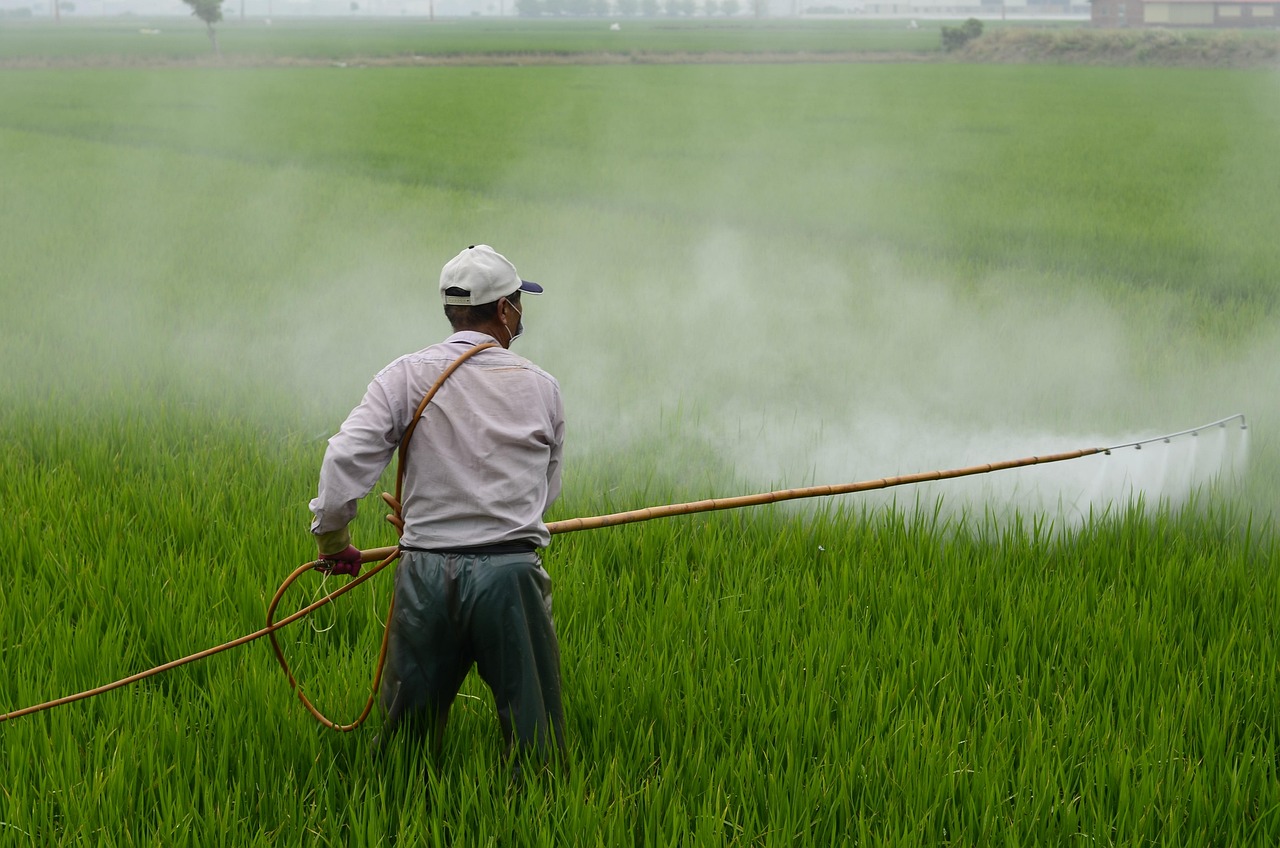 発毛促進剤のおすすめはどれ？