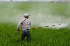 育毛剤のおすすめはどれ？