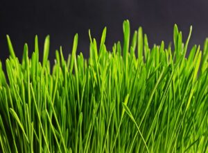 髪の毛細くなった原因と改善方法は？