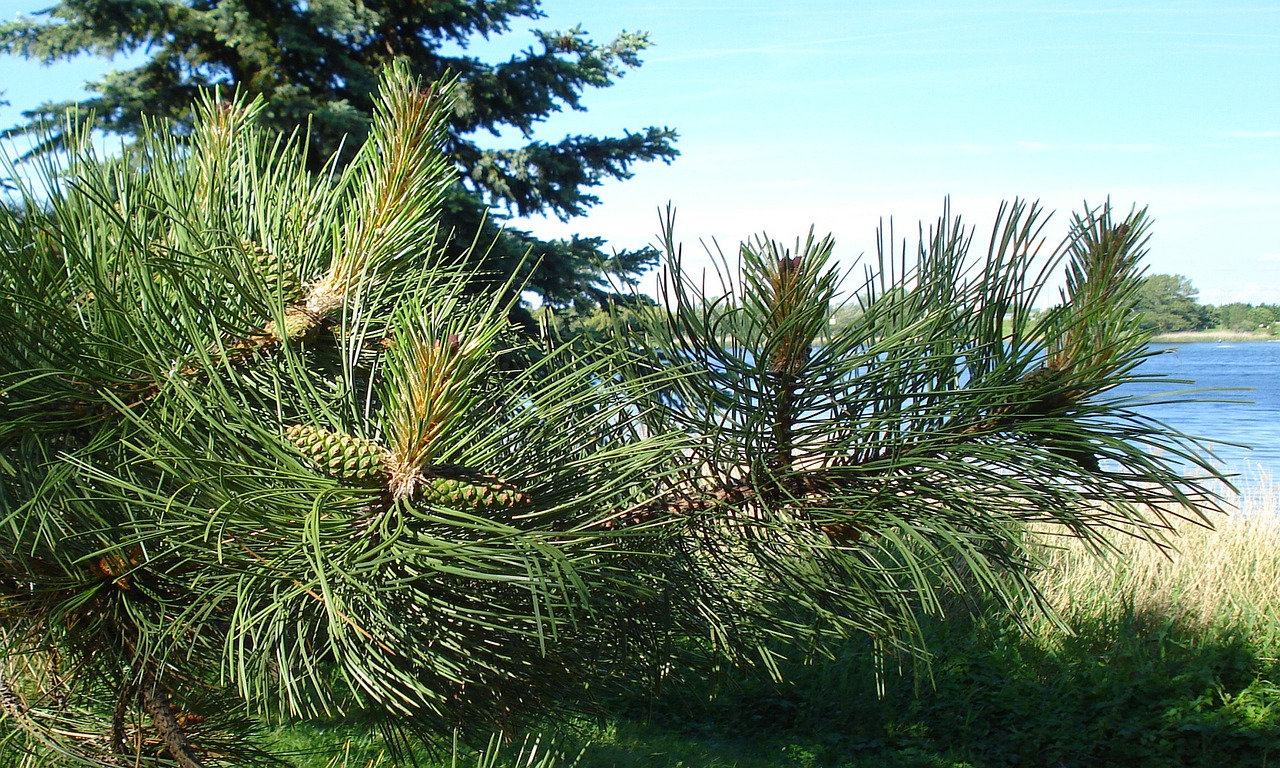 AGA薬がきかない理由と対策は？