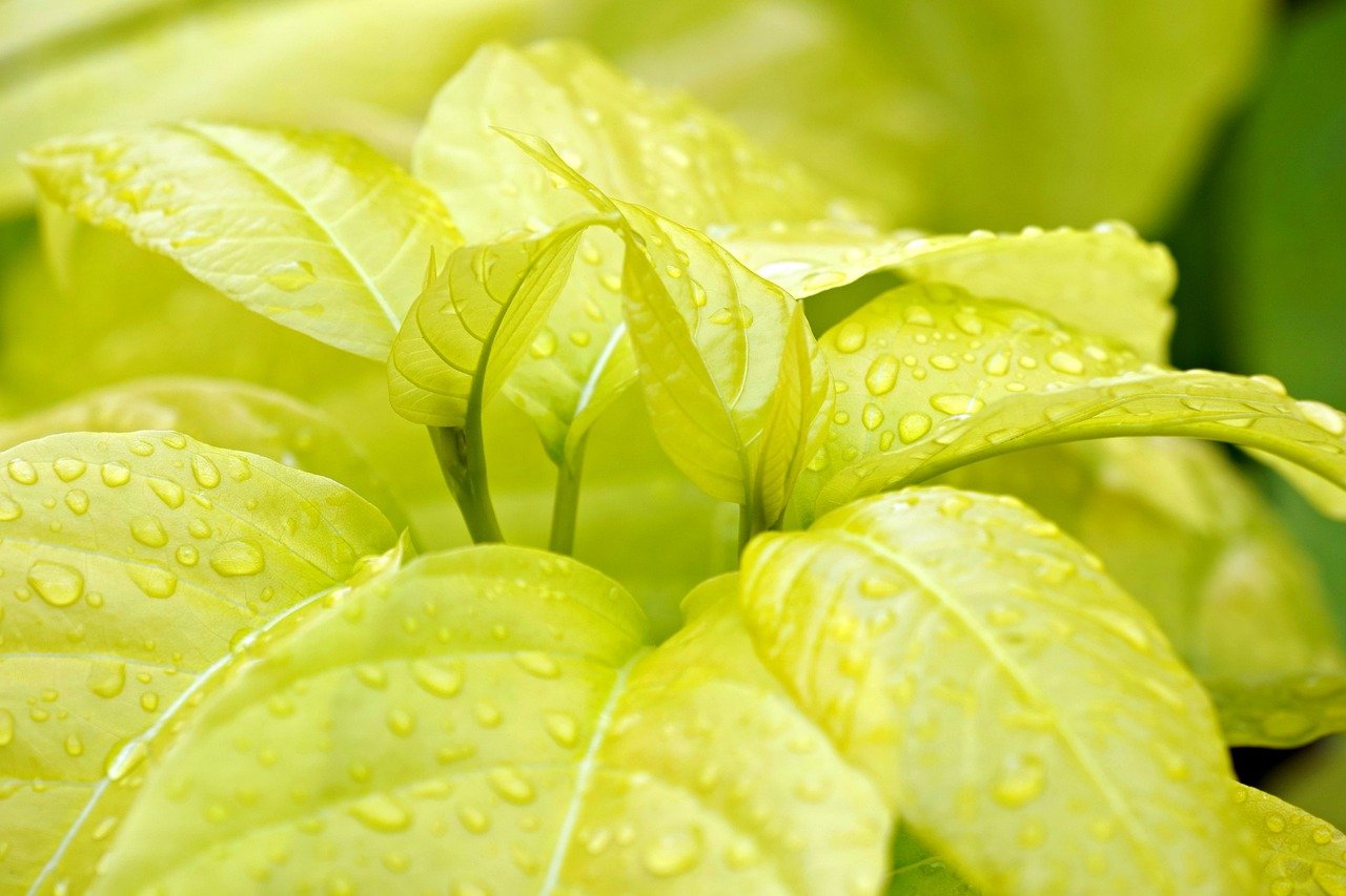 細くなった髪の毛を改善するための効果的な対策は？