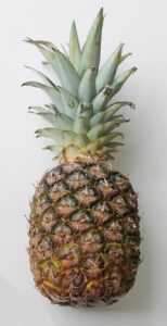 髪の毛が細い理由とは何ですか？