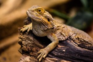 AGA治療は何年続ける必要がある？