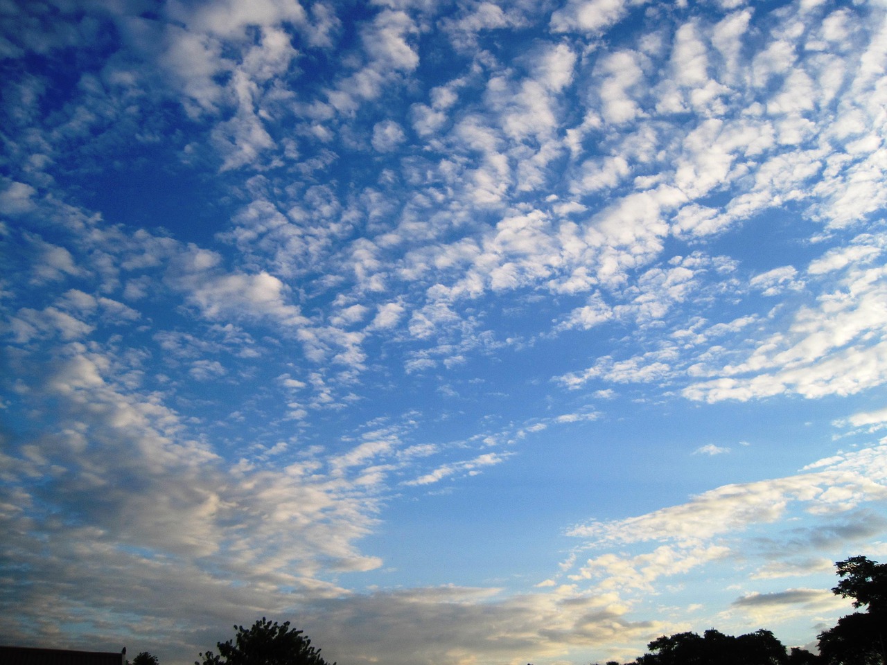 FUE植毛とFUT植毛どっちがいい？