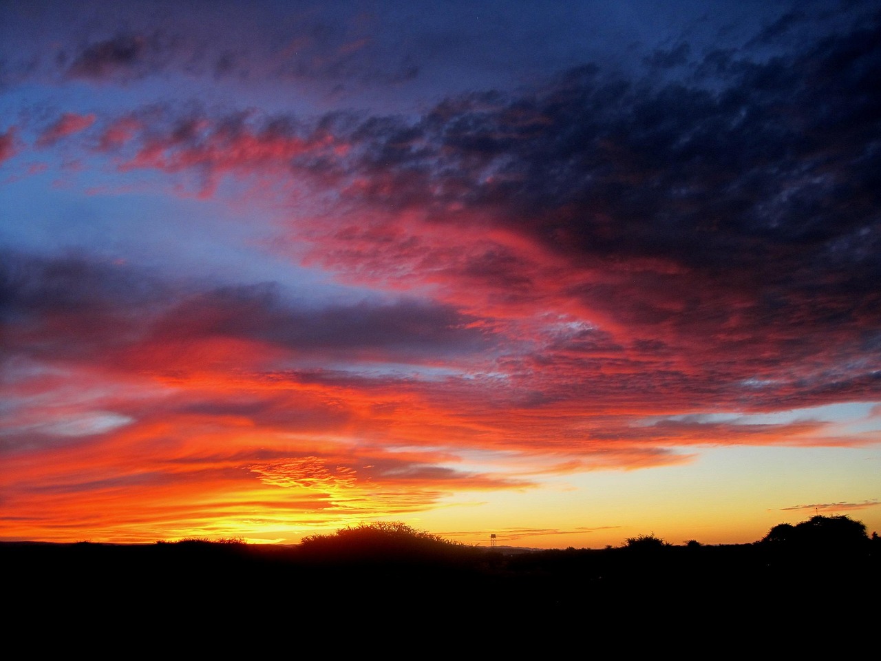 植毛後に跡は残る？その実態とケア方法を解説！
