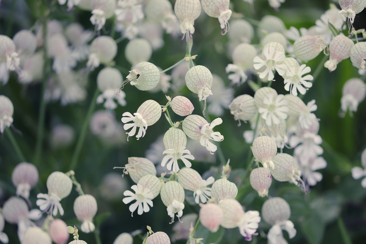育毛剤と発毛剤の違いは何？