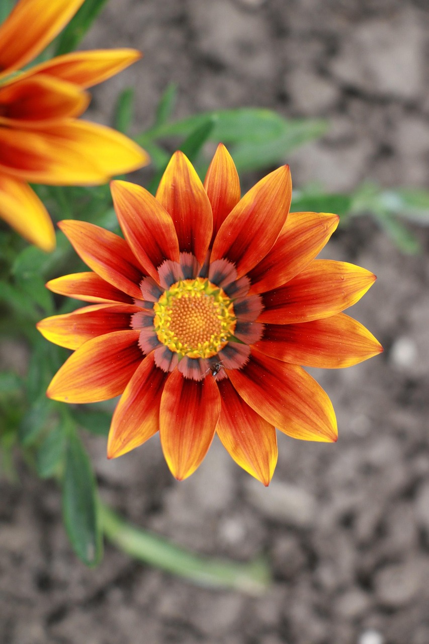 育毛剤の効果は出るまで何ヶ月？