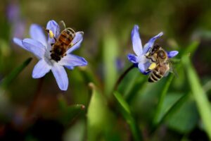 薄毛を放置するとどうなる？