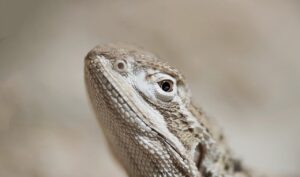 市販の育毛剤は効果ある？の真実とは？